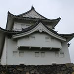 12132838_1088227621201941_1514970986_a