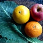 11875428_1651182008494983_6223024_a