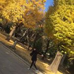 12383556_1627902154125289_1821461844_a