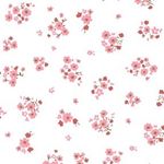 12940786_1702959933294407_945669113_a