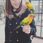 12749917_1679097345686385_2143403052_a