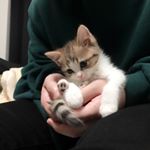 12912280_201914990192330_360864478_a