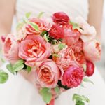 12826290_1564934923817260_423320338_a