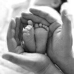 10576224_370340353117785_898623913_a