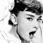 12717021_1558571244469708_131815978_a