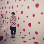 11821749_1460165840975414_1030769424_a