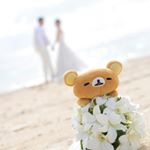 12519260_1548346628824574_2008396599_a