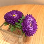 12356611_1695343807419109_1960532460_a