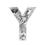 925881_278758585636089_443702212_a