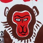 12534536_1665359483703877_868541064_a