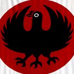 12747624_901042856678505_616743276_a