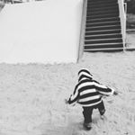 12930876_1034311276627603_442109606_a