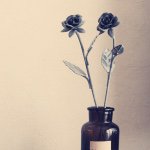 11355003_1454744814819904_1559023490_a