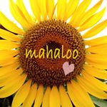 12424900_654763244662965_637413140_a