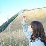 11950554_172606689755128_103912448_a