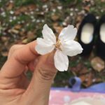 11335833_941225199253971_613404756_a