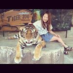 11358080_1612157759052805_818627253_a