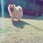 10632412_792789307520603_530432962_a