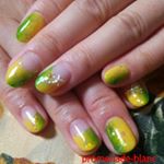 10932043_442116765975034_1240358137_a