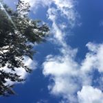 11931031_1643647452557739_1171105120_a