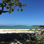 1172801_1747961245492534_1593904802_a