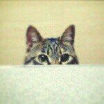 10499303_632879400128616_1172711210_a