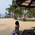 12362372_1027377467306088_537184806_a