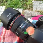 12383664_1742339612713650_113179589_a