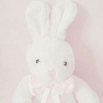 12960053_1118145164883253_1760214991_a