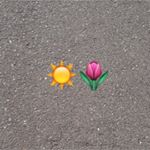 12912661_249184505430345_114723061_a