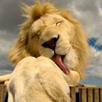 1169205_1710546705825178_71292469_a