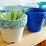 12826005_773116726166381_1898127281_a