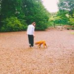 12356614_637099736393798_1174473444_a