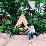 11374076_495319860627684_1656327216_a