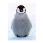 11821085_920097811401881_871970736_a