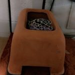 12063084_903034323106333_82672531_a