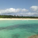 12940066_988783434539220_29427958_a