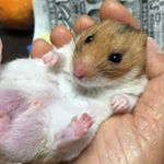 12783956_1559963370984106_1331907799_a