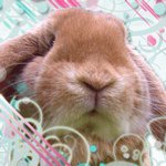 11373557_854010548021918_2085948969_a