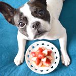 12383695_606672346168681_217990542_a