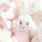 12568842_455846874624893_500619872_a