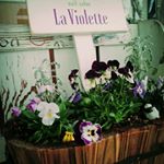 12530856_481000648764673_913067693_a