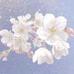 12912327_1707539589529559_2027372522_a