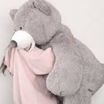 10817616_1676558182603661_1595048395_a