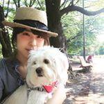 12568154_570451239781671_435337182_a