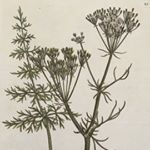 12905070_540442446125715_1906004557_a