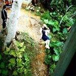 12940877_1674313706151704_987931923_a