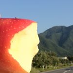 12237389_1731675773733068_1765100578_a