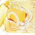 12918069_1594303120790431_1273473596_a