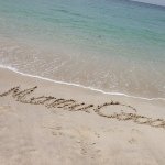 926205_528383310617761_2065487446_a